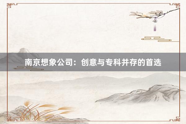 南京想象公司：创意与专科并存的首选