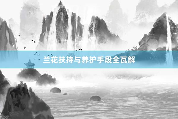 兰花扶持与养护手段全瓦解