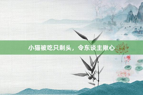 小猫被吃只剩头，令东谈主揪心